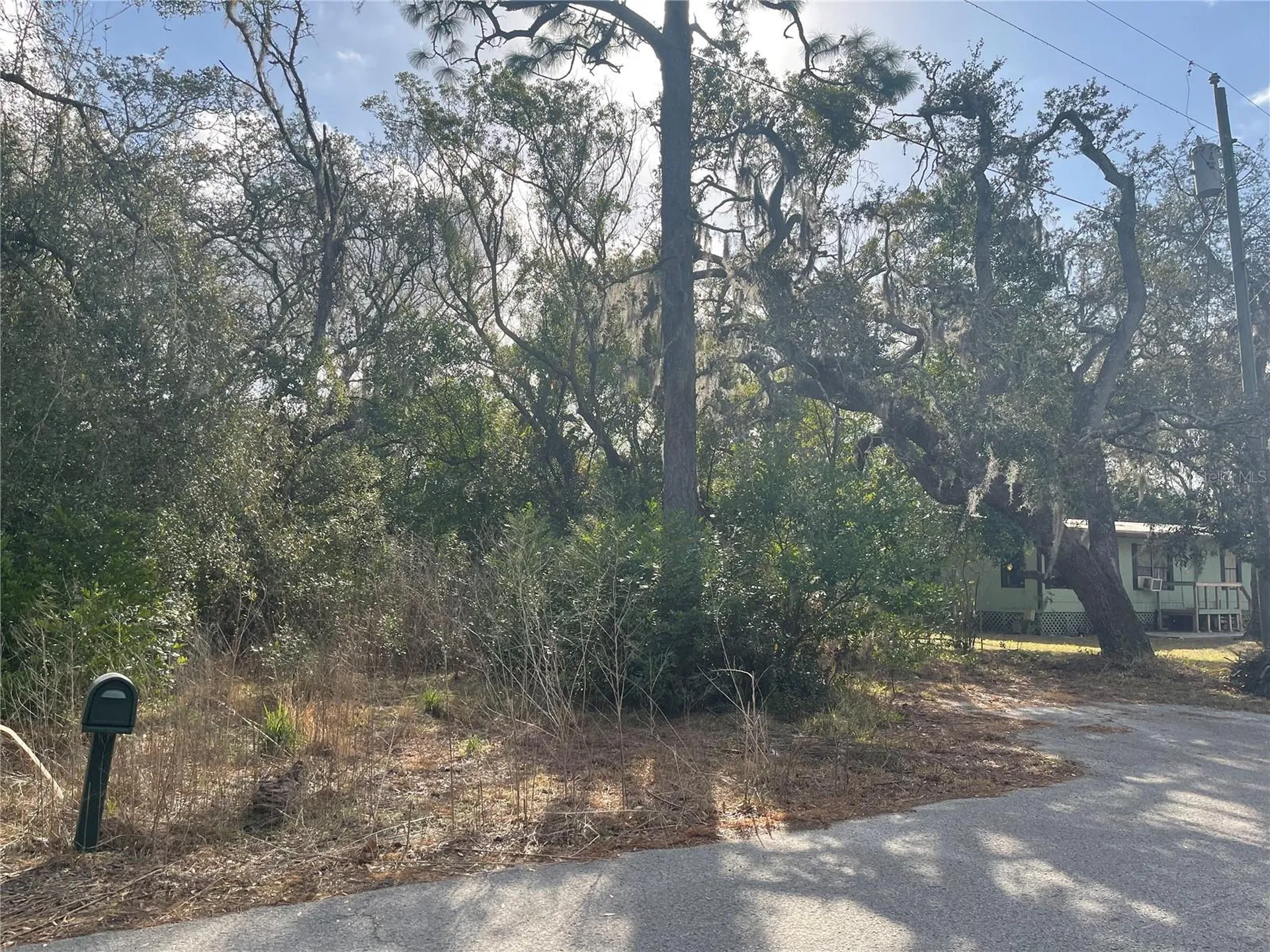 10024 Oana Street New Port Richey FL 34654
