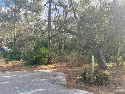 10024 Oana Street New Port Richey FL 34654