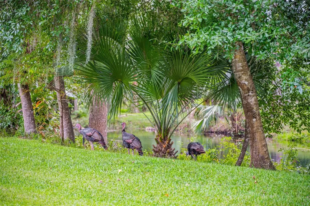3668 Watercrest Drive Longwood FL 32779