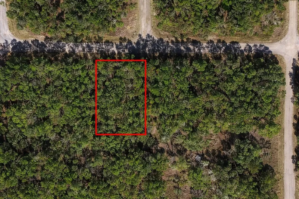 60 E Falcon Street Dunnellon FL 34434