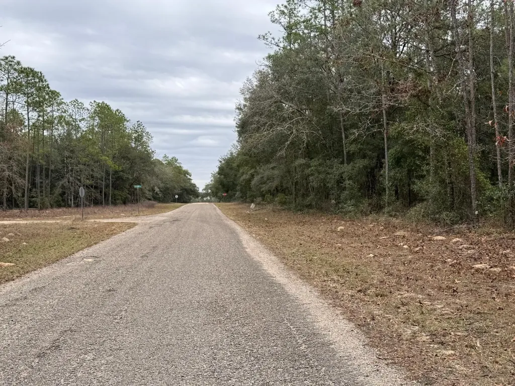 60 E Falcon Street Dunnellon FL 34434