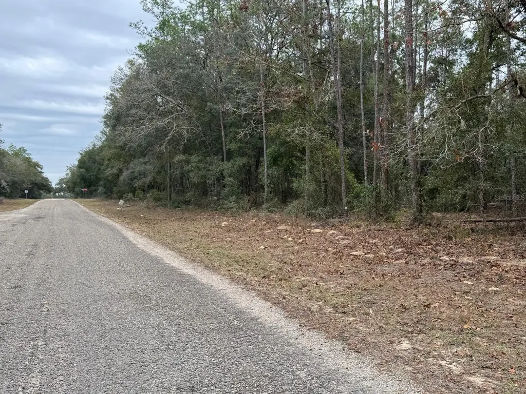 60 E Falcon Street Dunnellon FL 34434