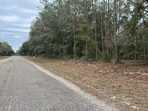60 E Falcon Street Dunnellon FL 34434