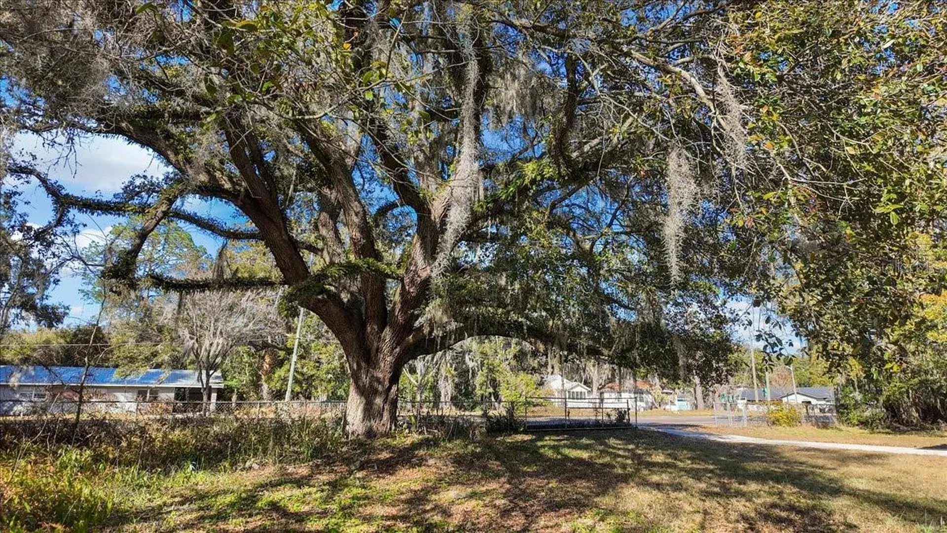 1621 E University Avenue Gainesville FL 32641