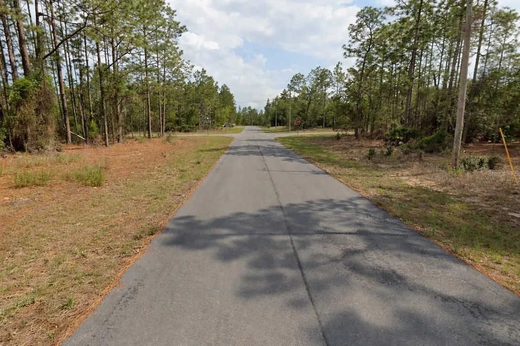 11033 N Trigger Terrace Citrus Springs FL 34433