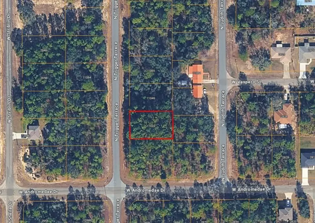 11033 N Trigger Terrace Citrus Springs FL 34433
