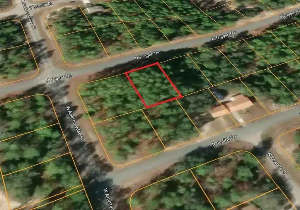 11033 N Trigger Terrace Citrus Springs FL 34433