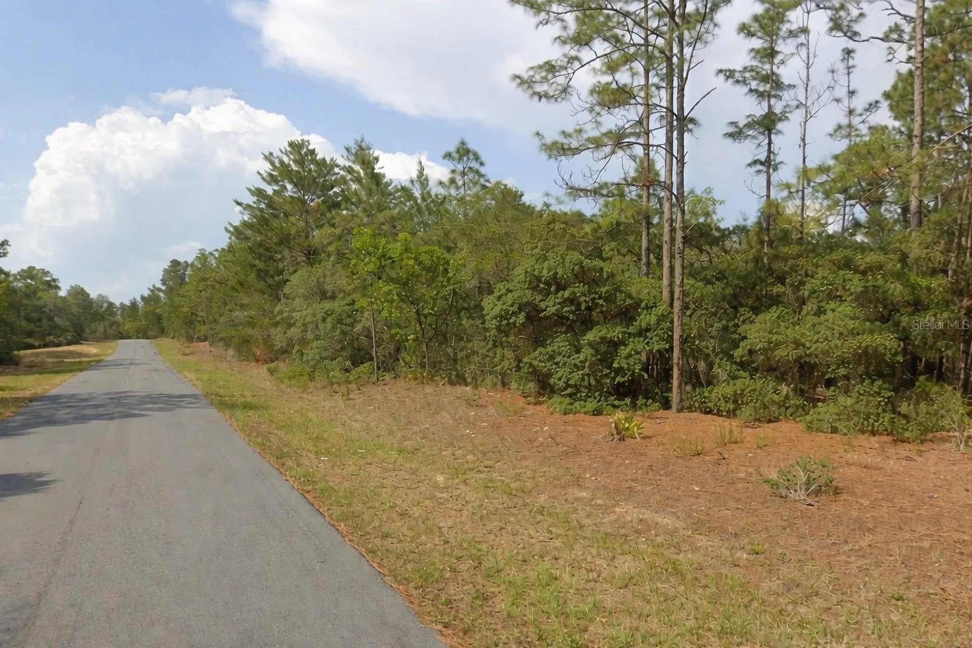 11033 N Trigger Terrace Citrus Springs FL 34433
