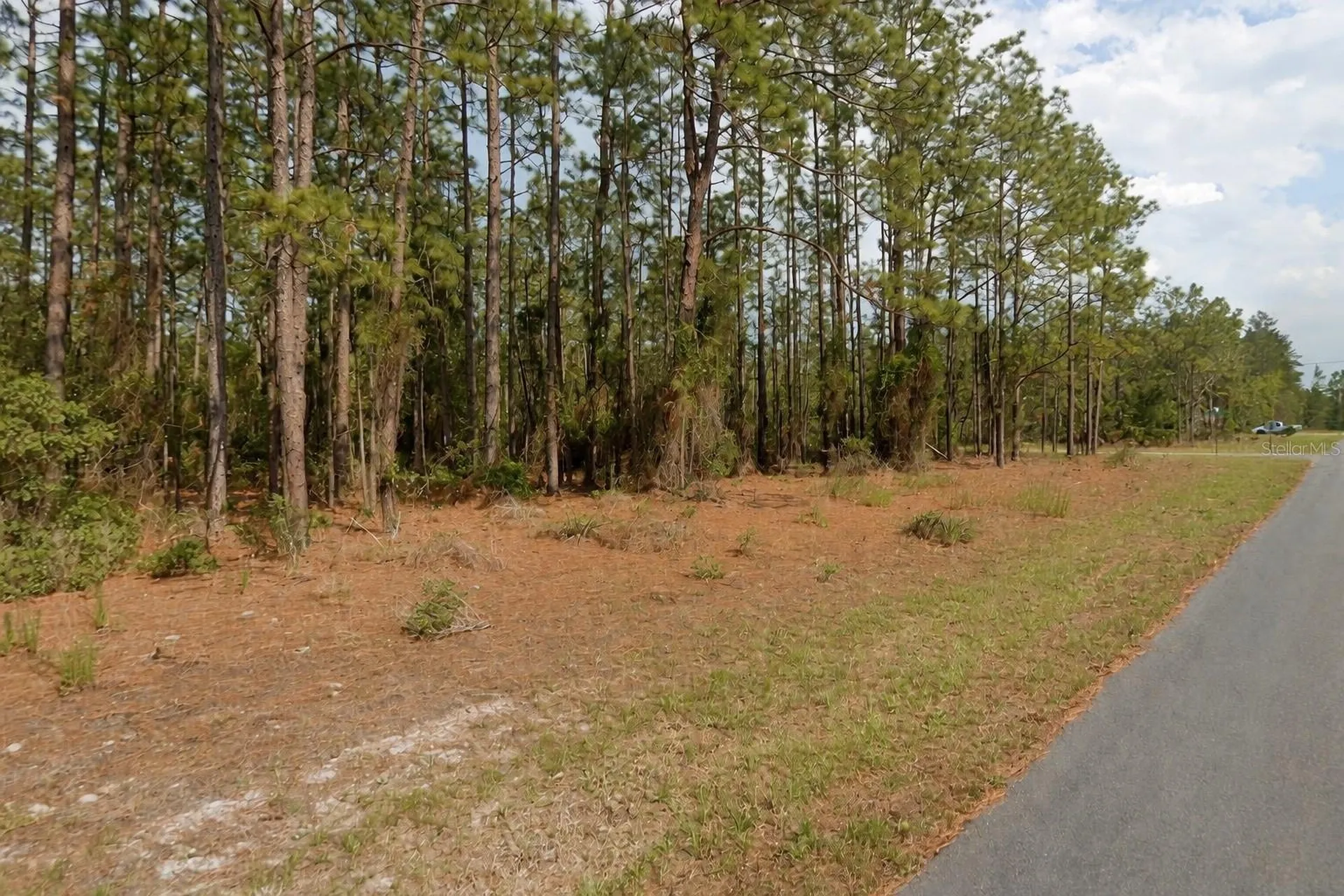 11033 N Trigger Terrace Citrus Springs FL 34433