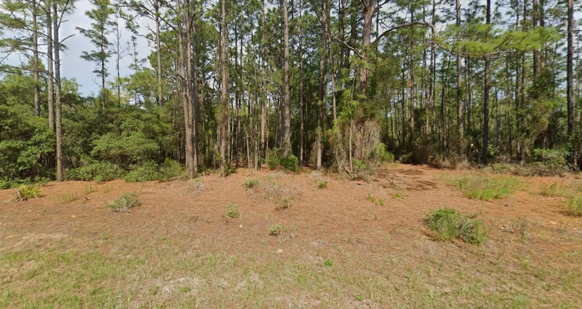 11033 N Trigger Terrace Citrus Springs FL 34433