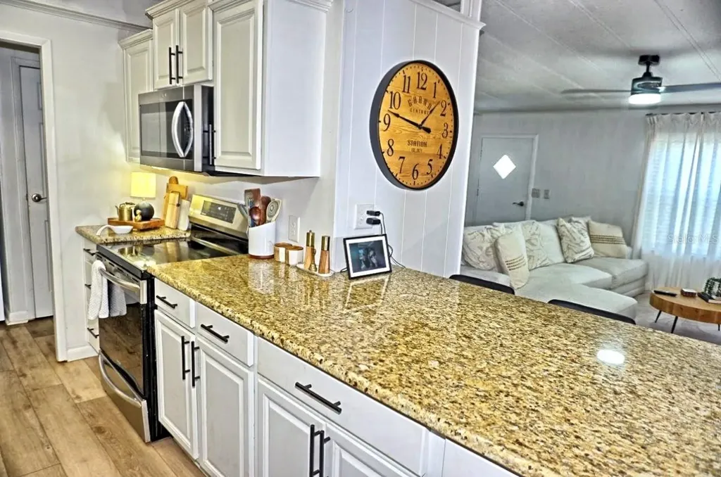 21052 Little Magens Loop Lutz FL 33558