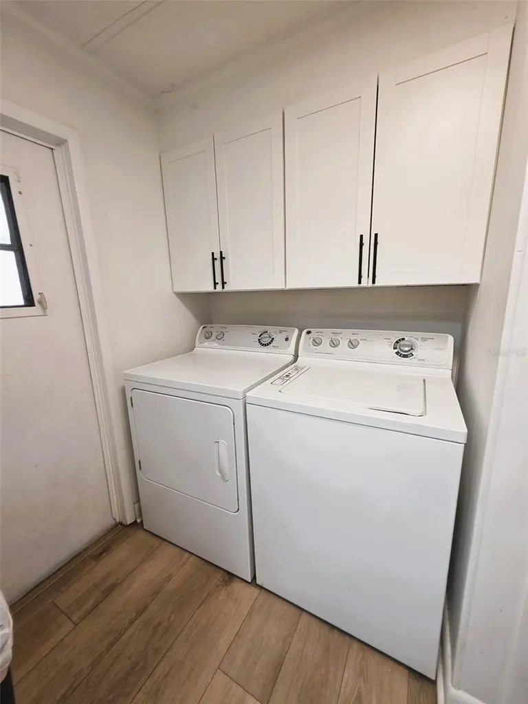 21052 Little Magens Loop Lutz FL 33558