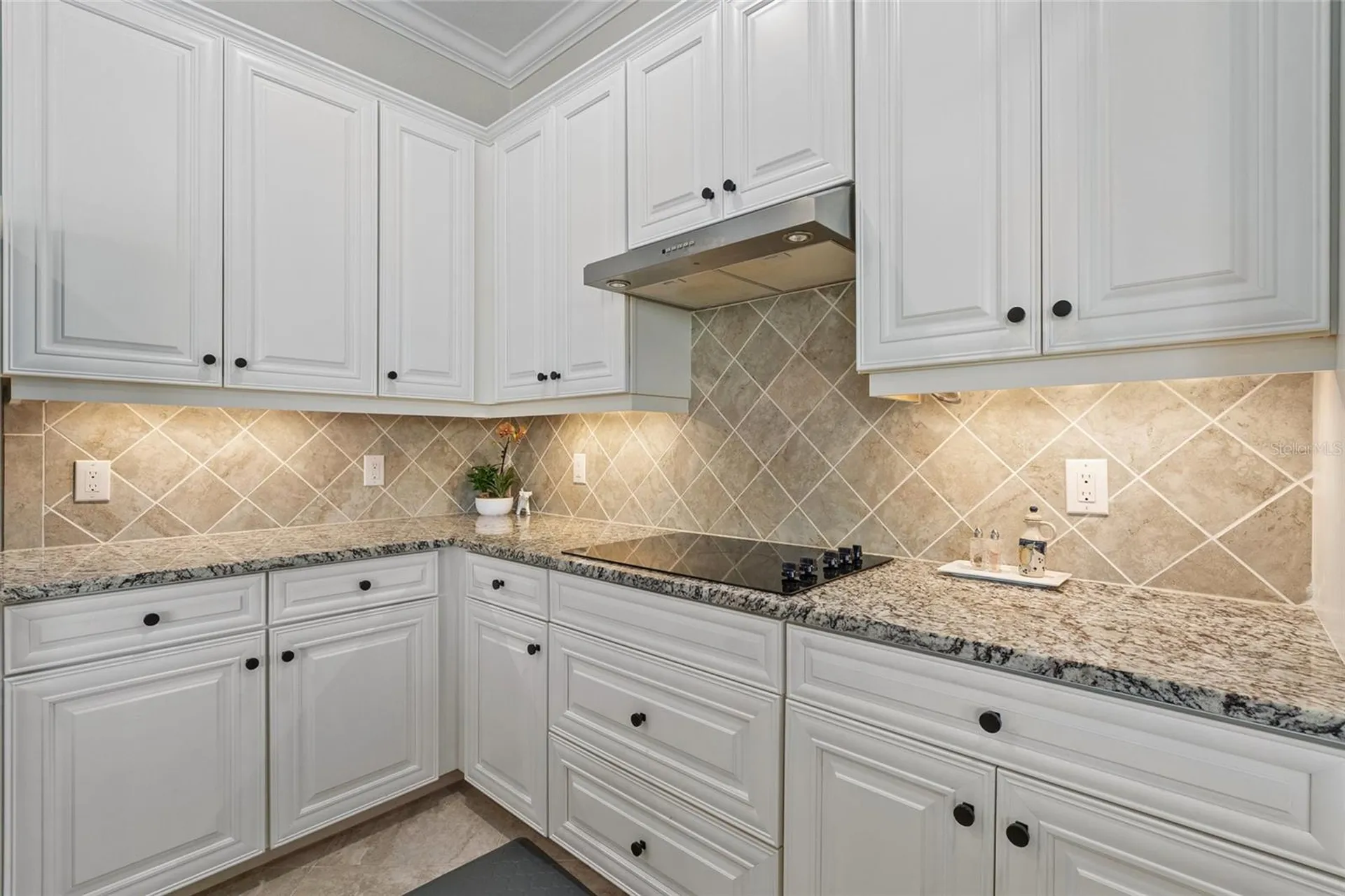 20655 Valprato Court Venice FL 34293