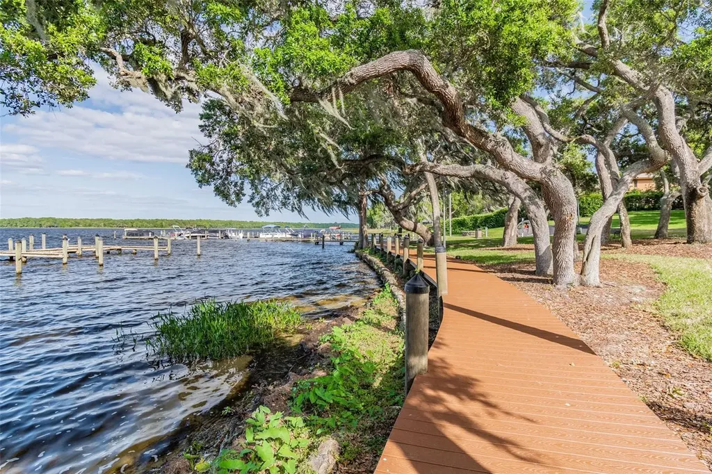 2194 Pinnacle Circle N Palm Harbor FL 34684