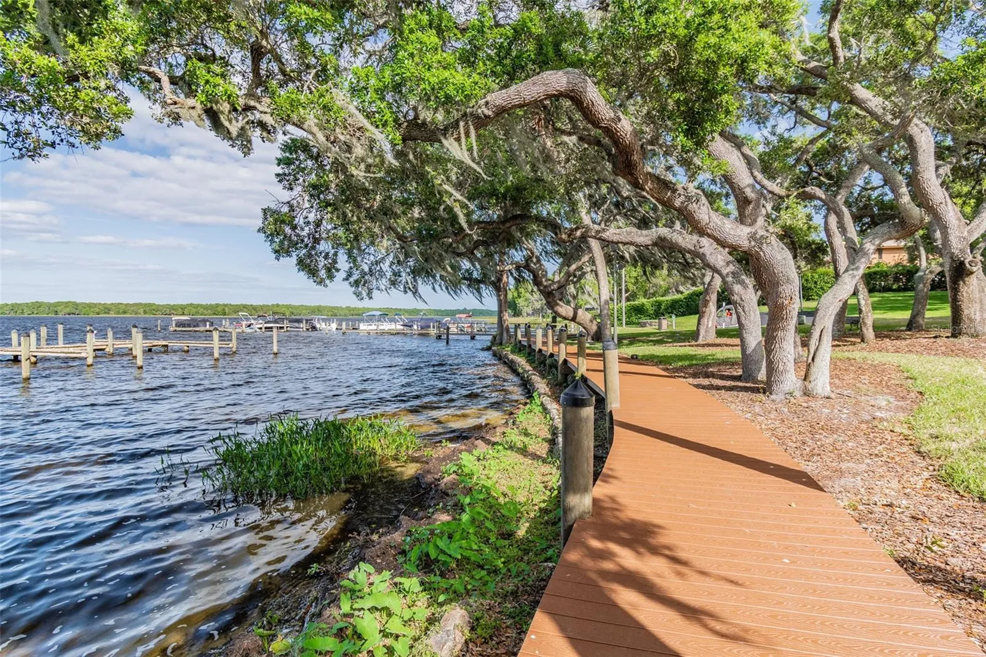 2194 Pinnacle Circle N Palm Harbor FL 34684