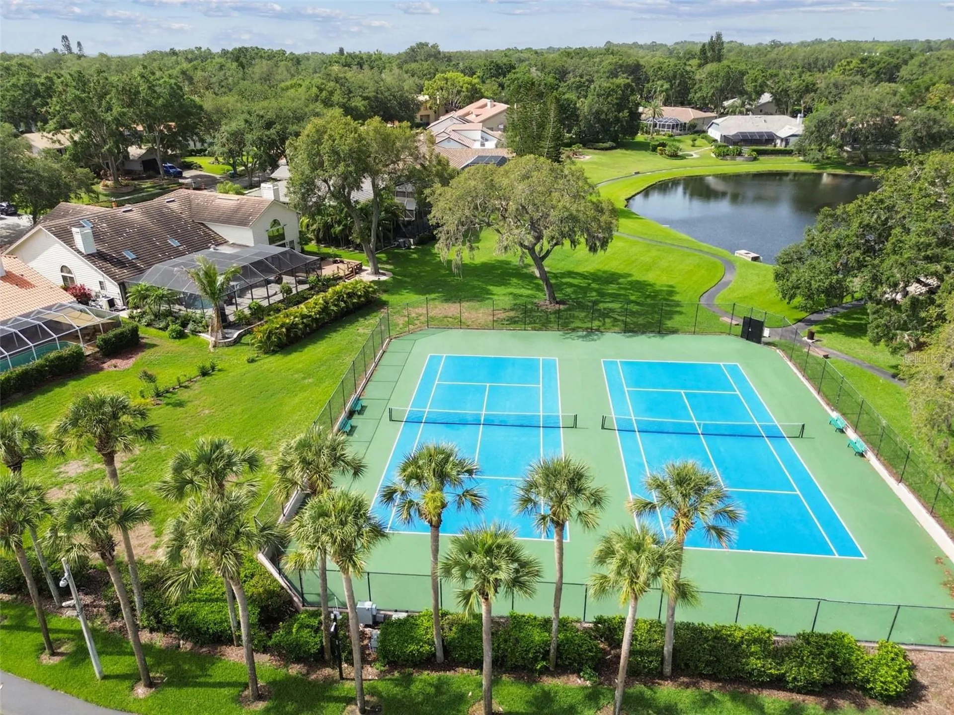 2194 Pinnacle Circle N Palm Harbor FL 34684