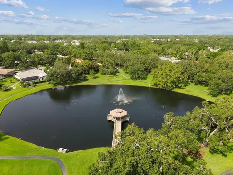2194 Pinnacle Circle N Palm Harbor FL 34684