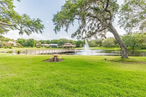 2194 Pinnacle Circle N Palm Harbor FL 34684
