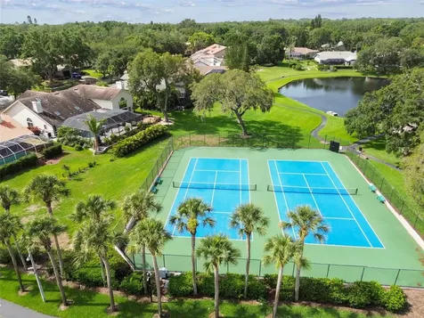 2194 Pinnacle Circle N Palm Harbor FL 34684