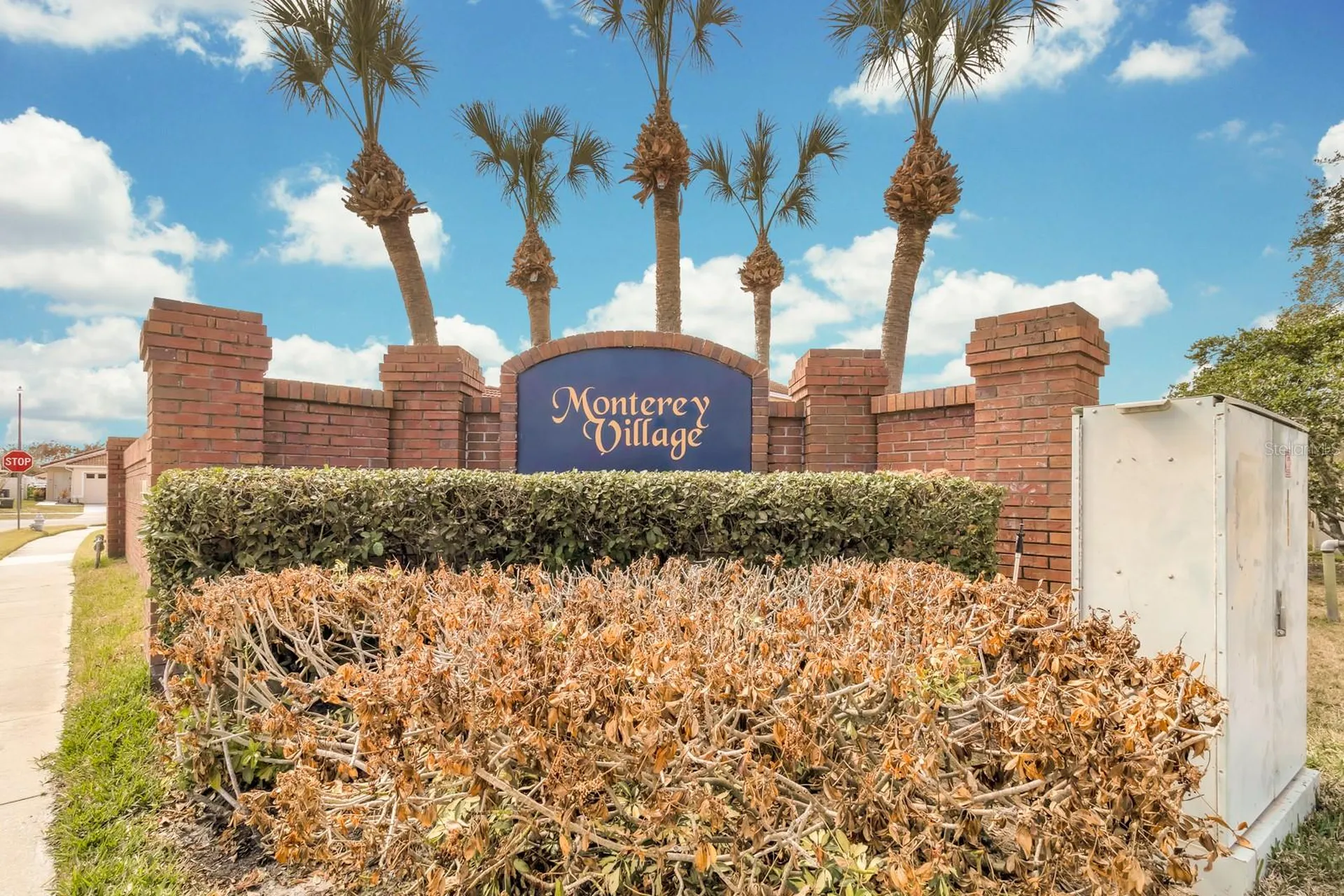 2317 Santa Lucia Street Kissimmee FL 34743