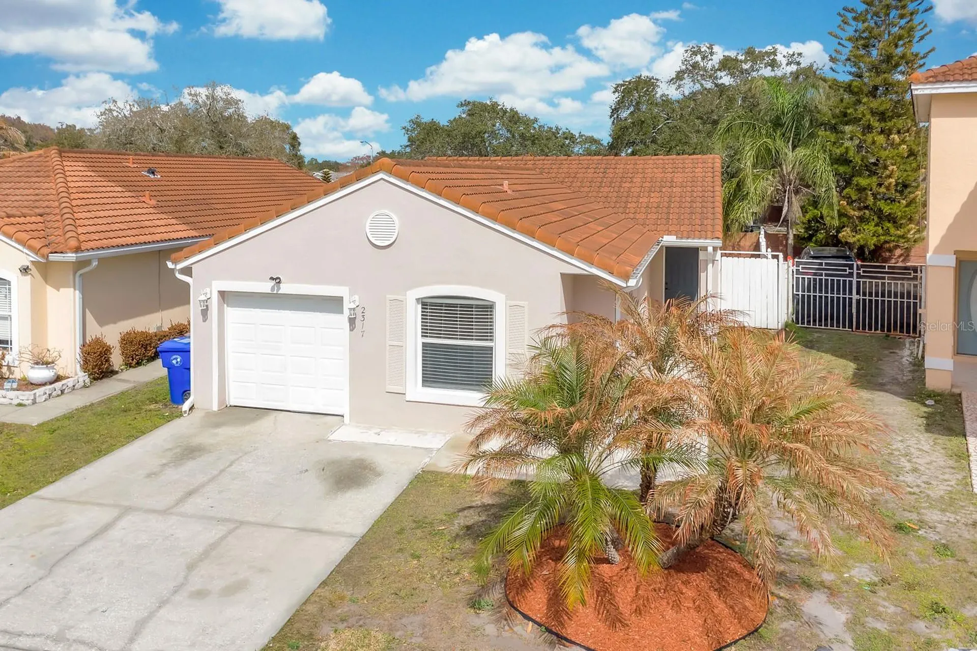 2317 Santa Lucia Street Kissimmee FL 34743