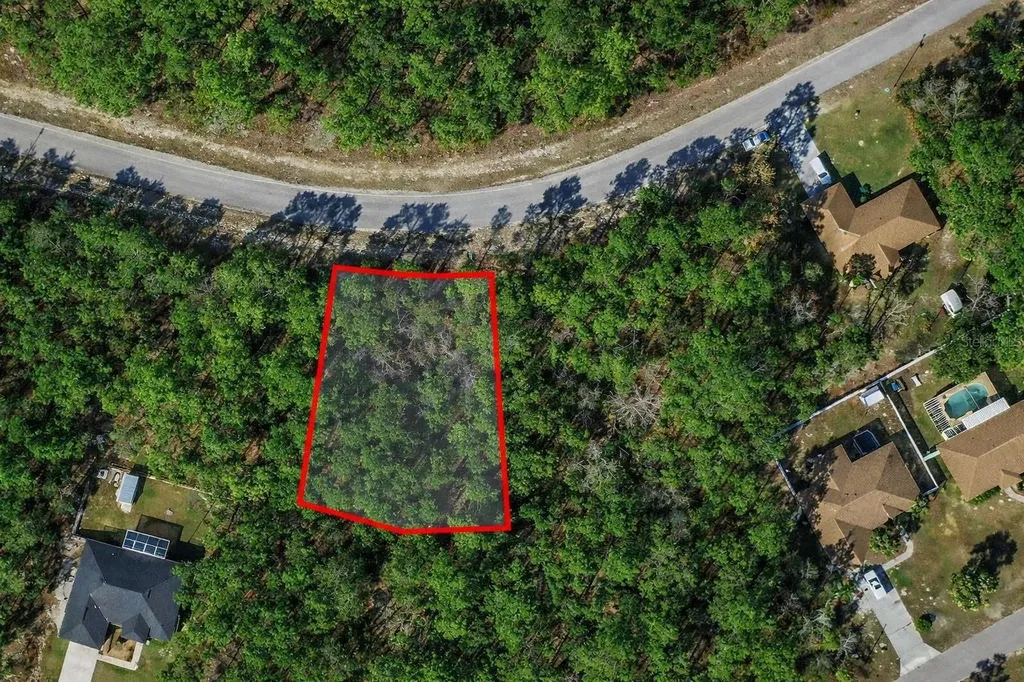 9367 N Fairy Lilly Drive Citrus Springs FL 34433