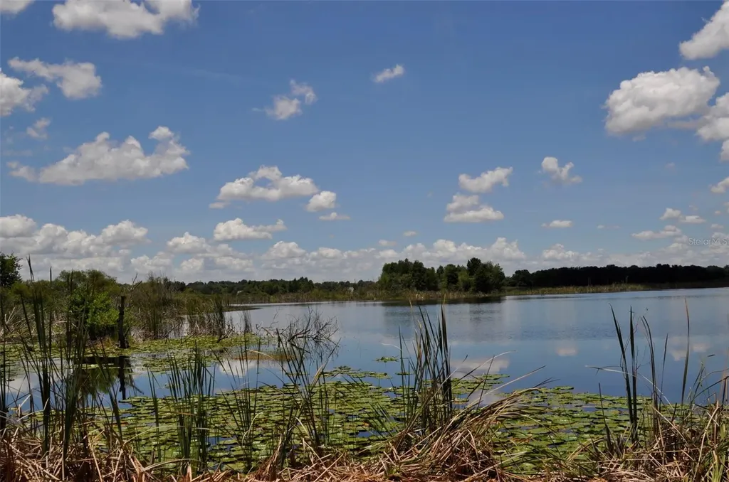 Lake Marie Drive Haines City FL 33844