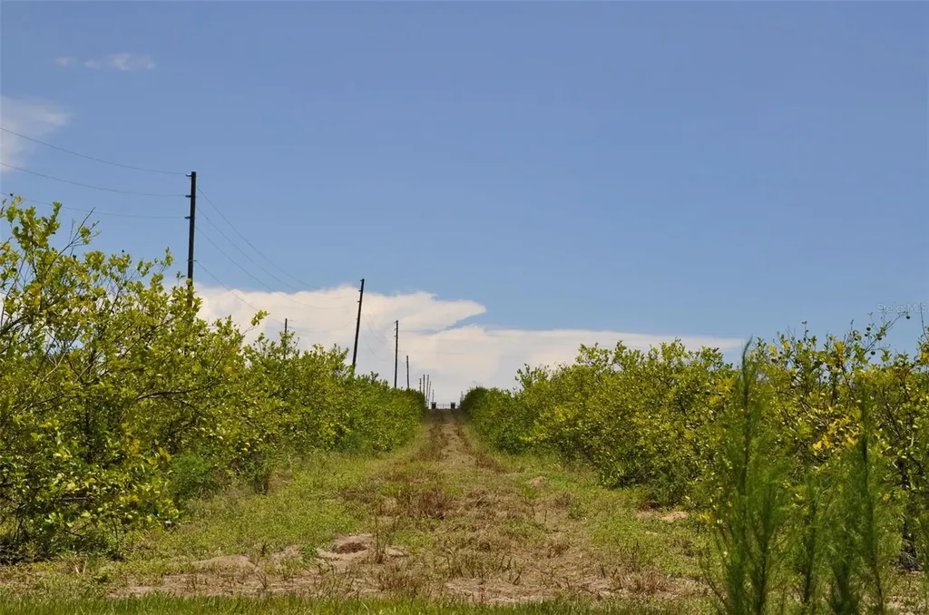 Lake Marie Drive Haines City FL 33844