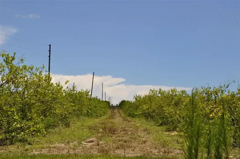 Lake Marie Drive Haines City FL 33844