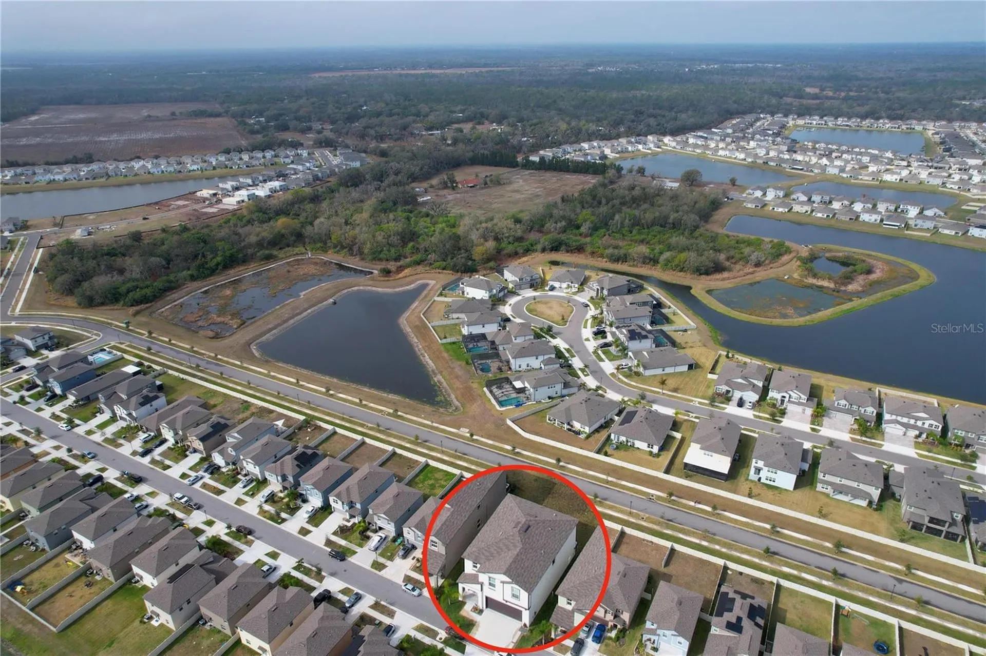 3141 Oyster Cove Street Wimauma FL 33598