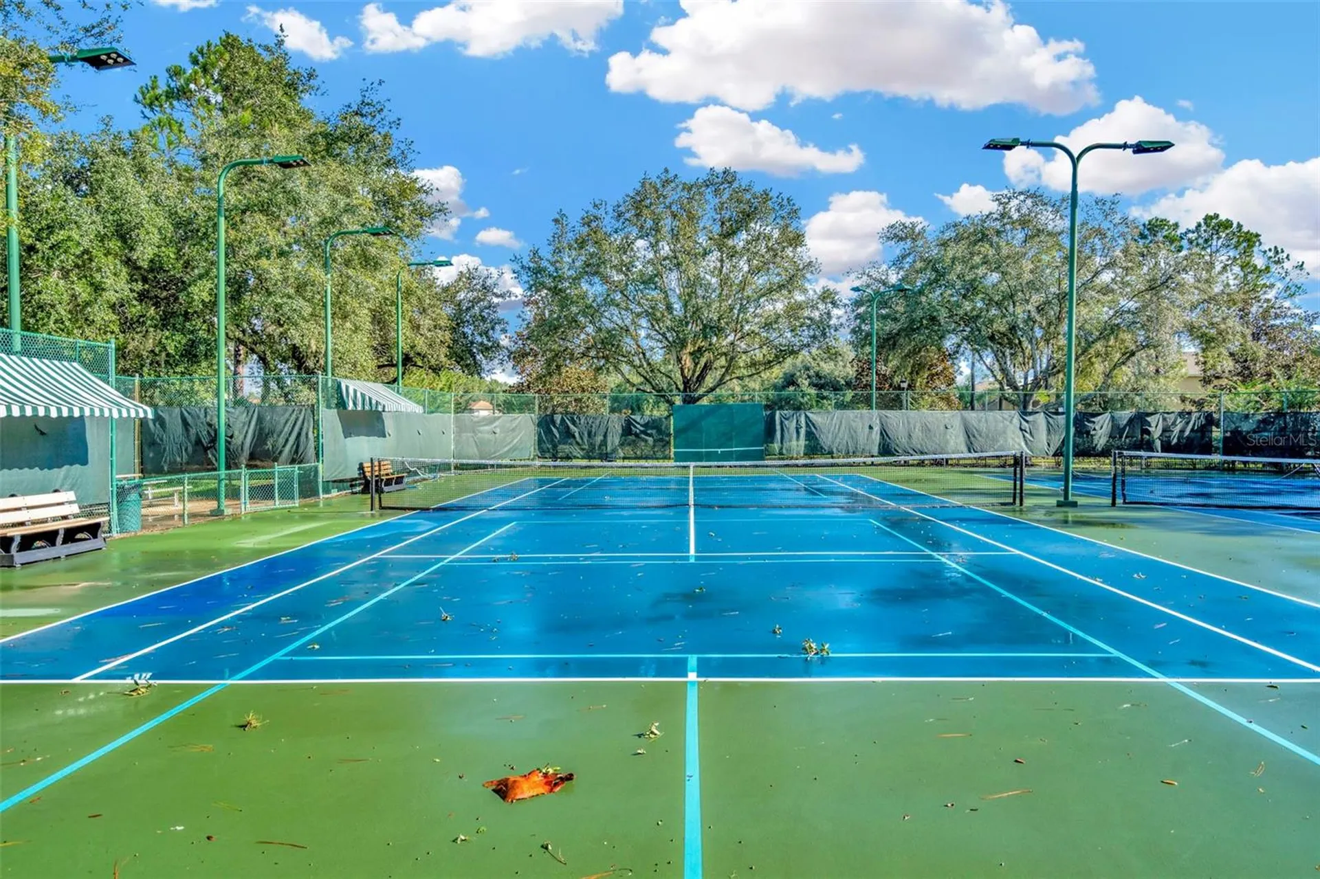 7051 Derwent Glen Circle Land O Lakes FL 34637