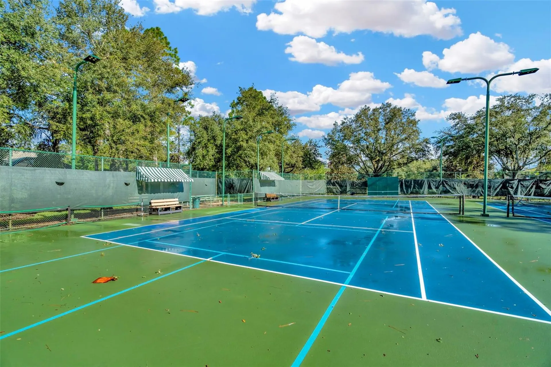 7051 Derwent Glen Circle Land O Lakes FL 34637