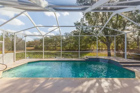 7051 Derwent Glen Circle Land O Lakes FL 34637