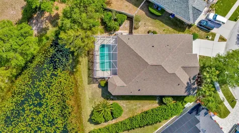 7051 Derwent Glen Circle Land O Lakes FL 34637