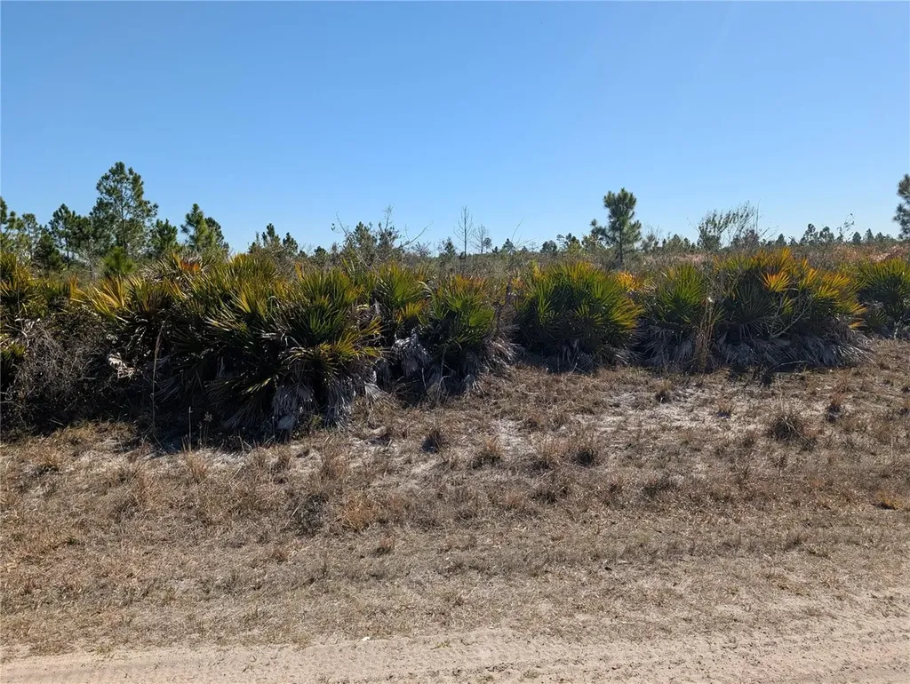 1211 Pinnata Drive Indian Lake Estates FL 33855