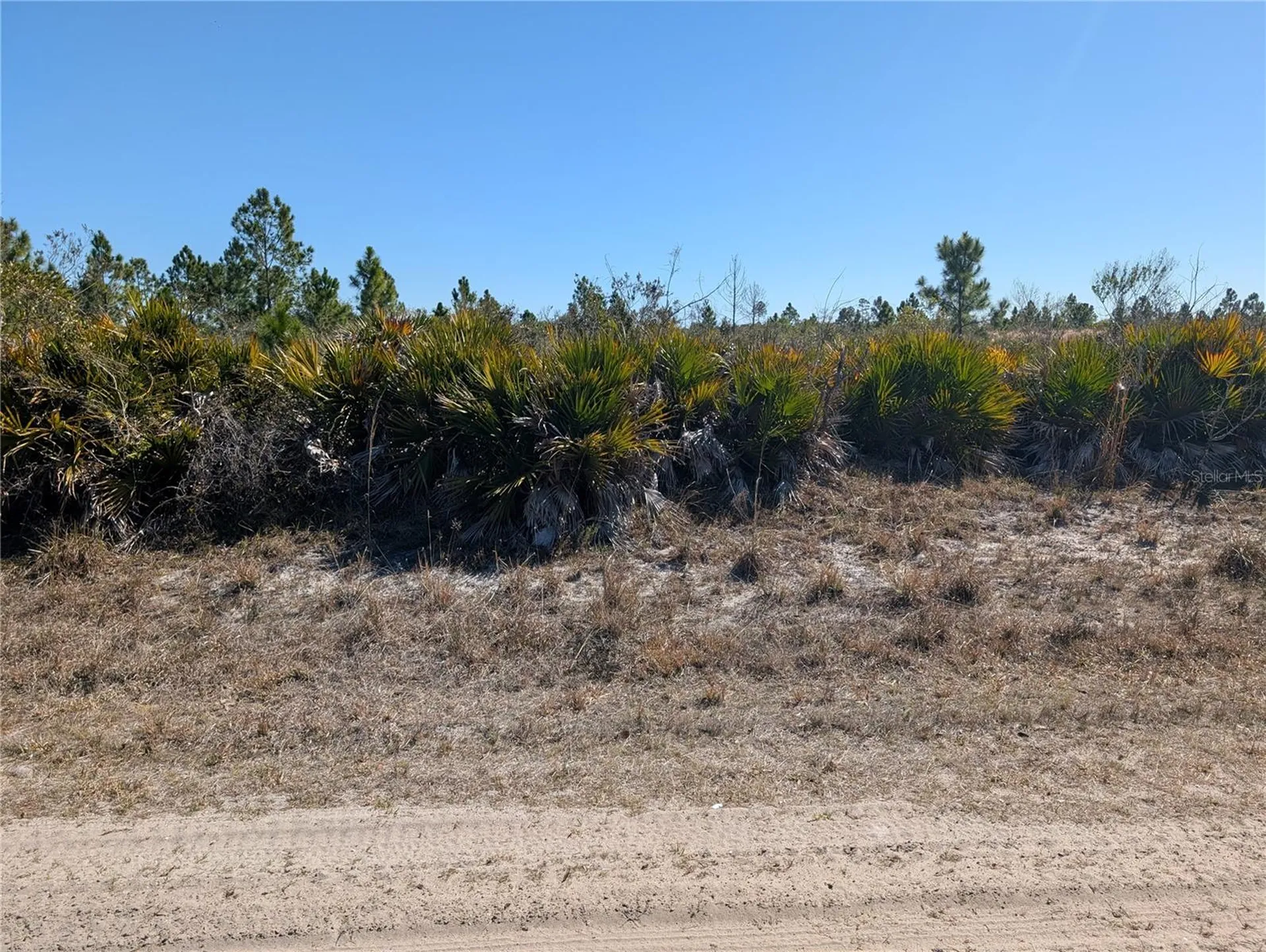 1211 Pinnata Drive Indian Lake Estates FL 33855
