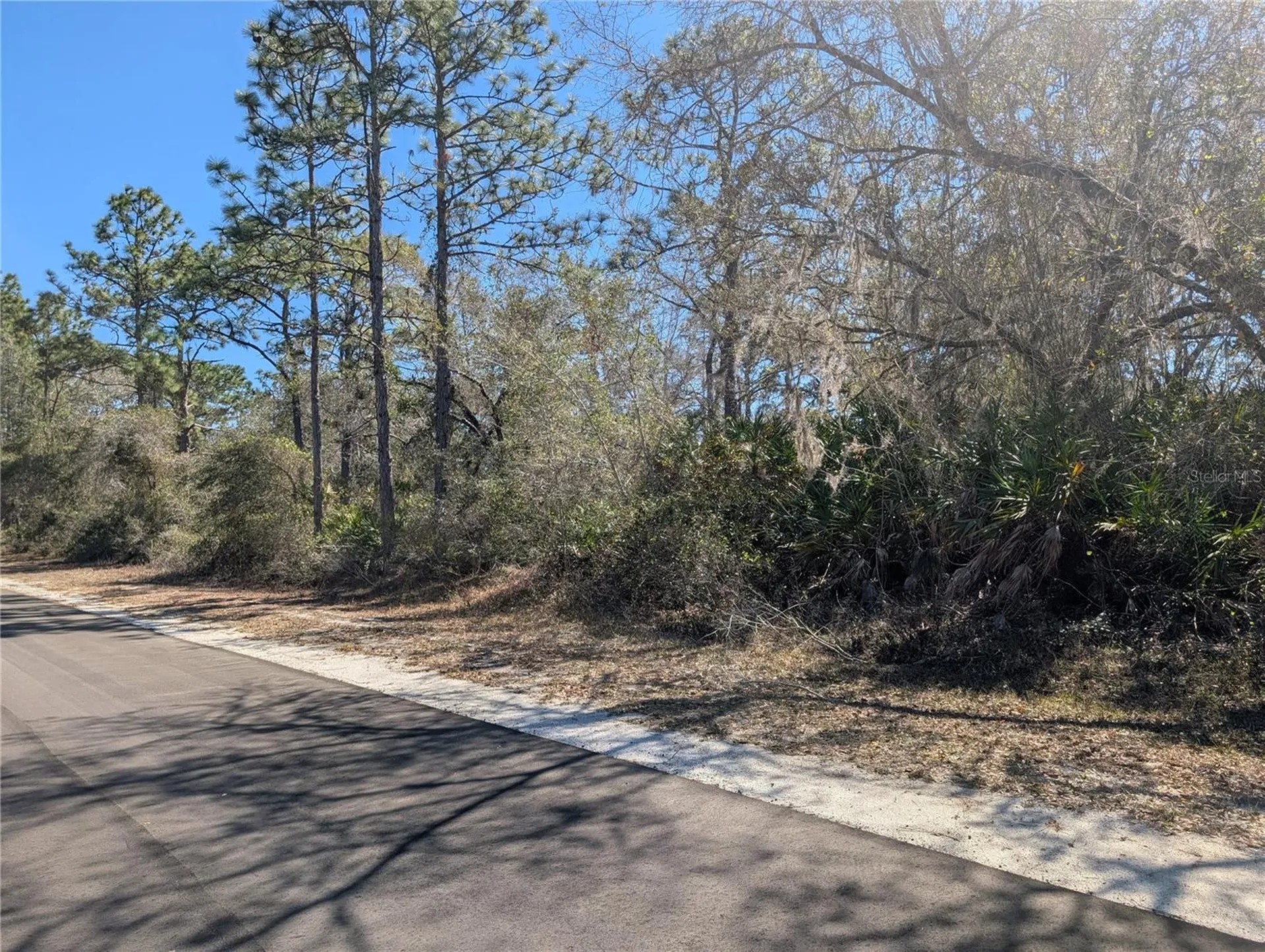 1211 Pinnata Drive Indian Lake Estates FL 33855