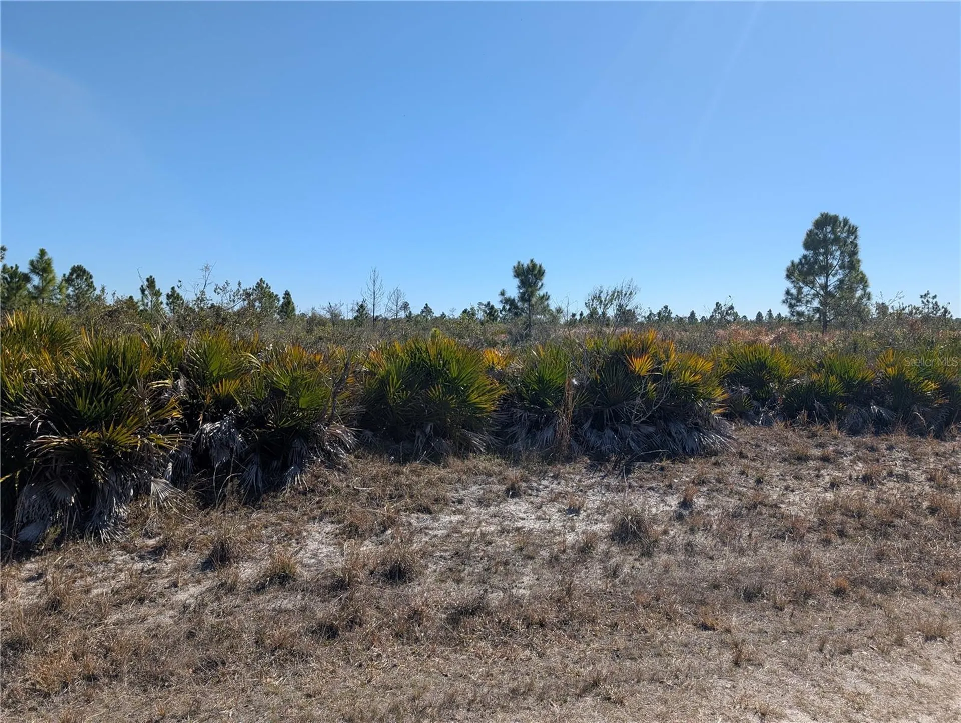 1211 Pinnata Drive Indian Lake Estates FL 33855