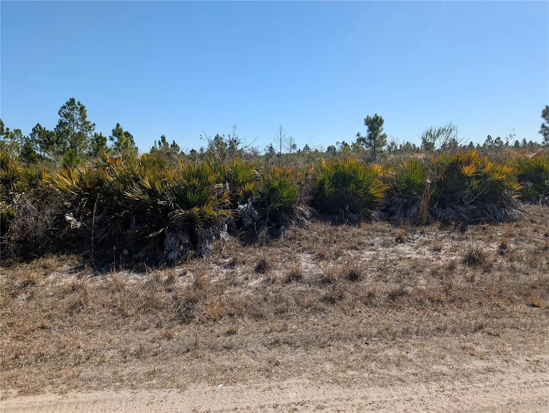 1211 Pinnata Drive Indian Lake Estates FL 33855