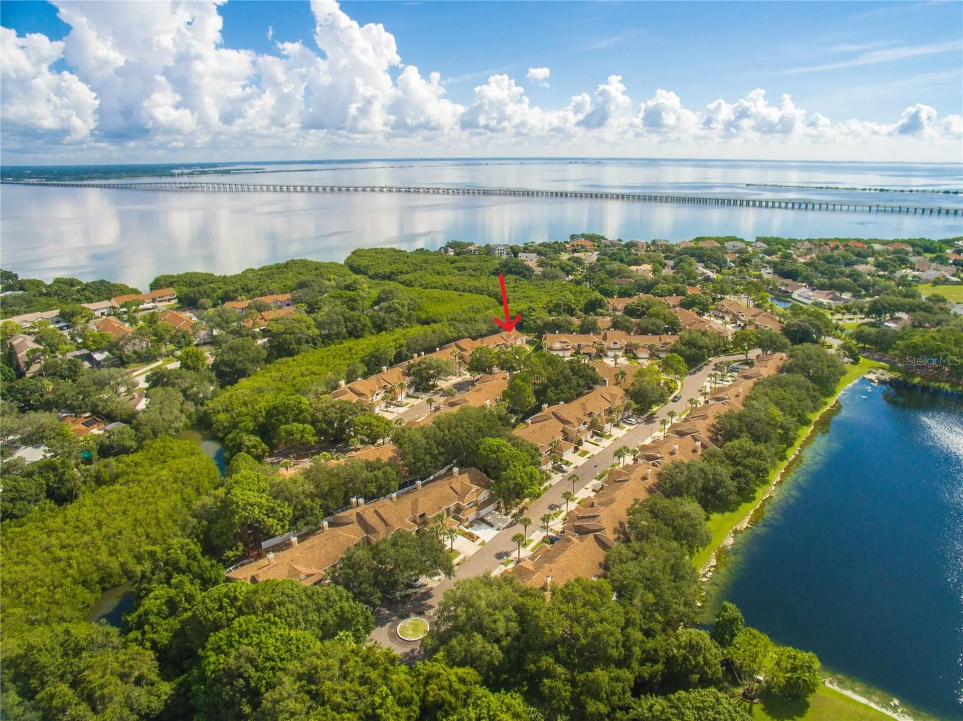 3079 Branch Drive Clearwater FL 33760