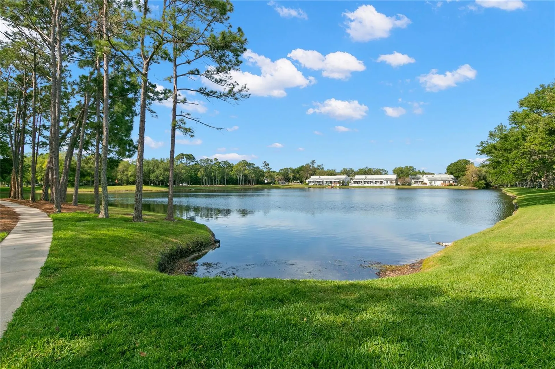 3079 Branch Drive Clearwater FL 33760