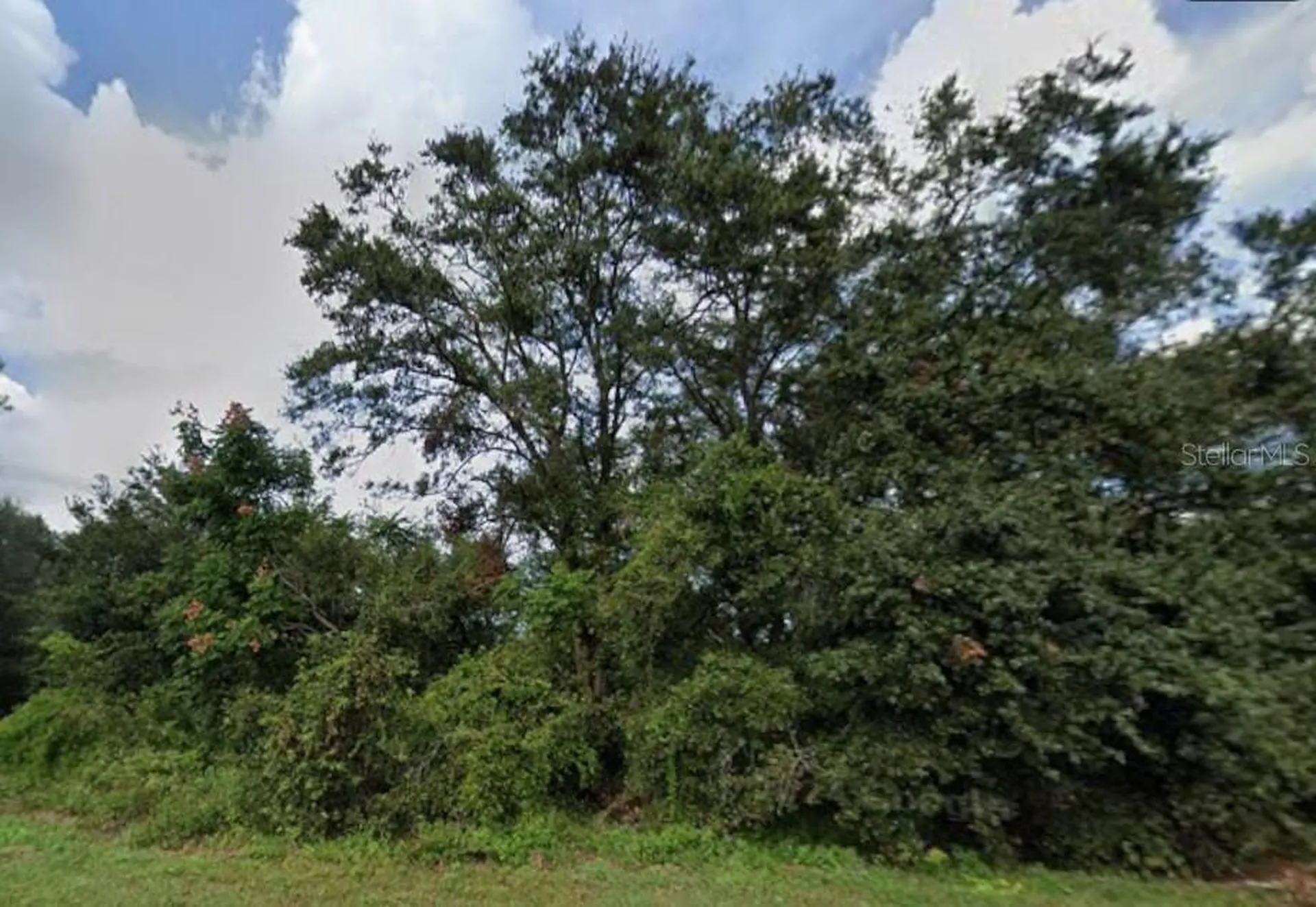 627 Citrus Grove Boulevard N Polk City FL 33868