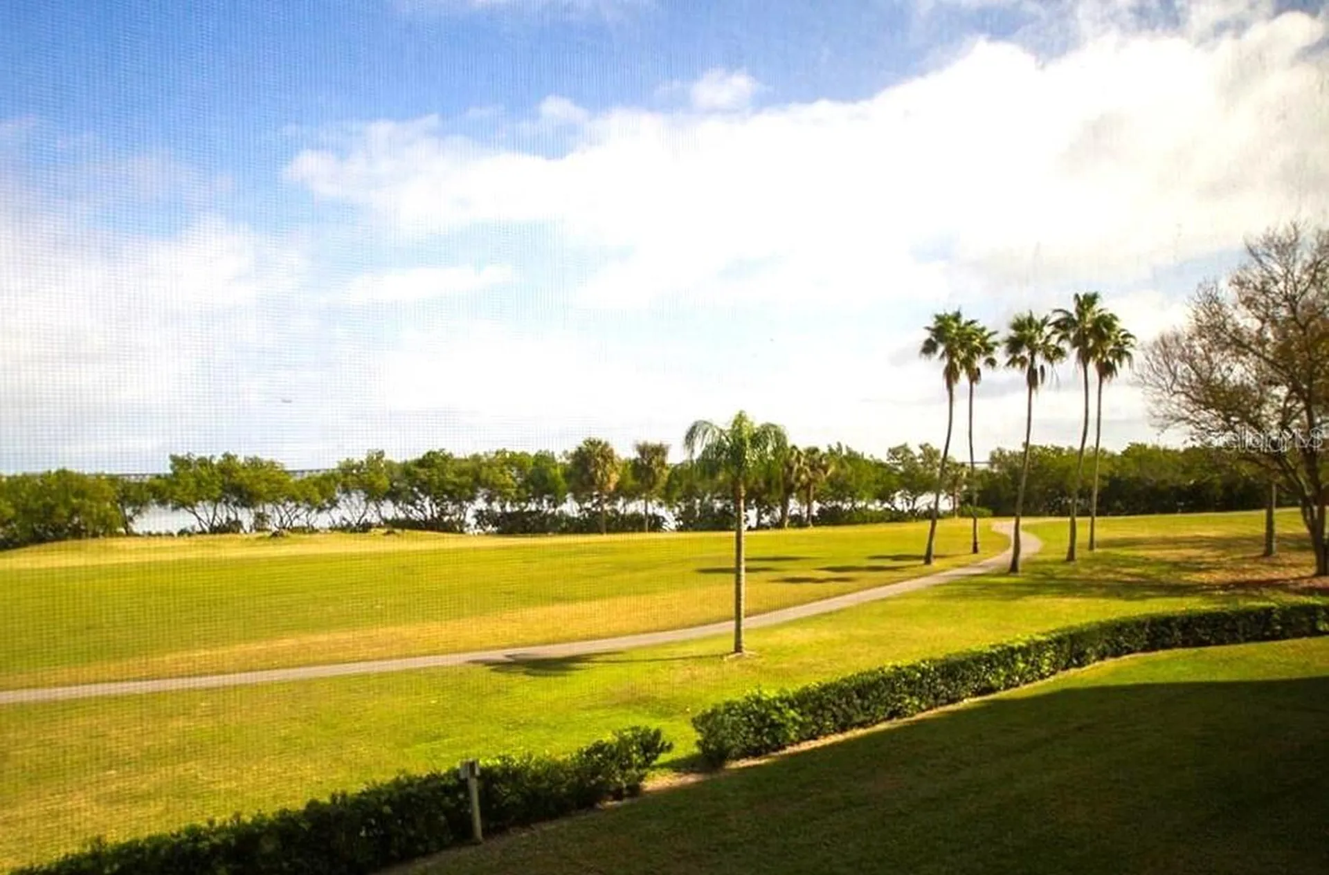 2618 Cove Cay Drive Clearwater FL 33760