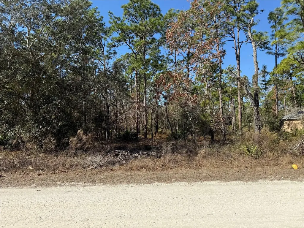0 Macassar Road Weeki Wachee FL 34614