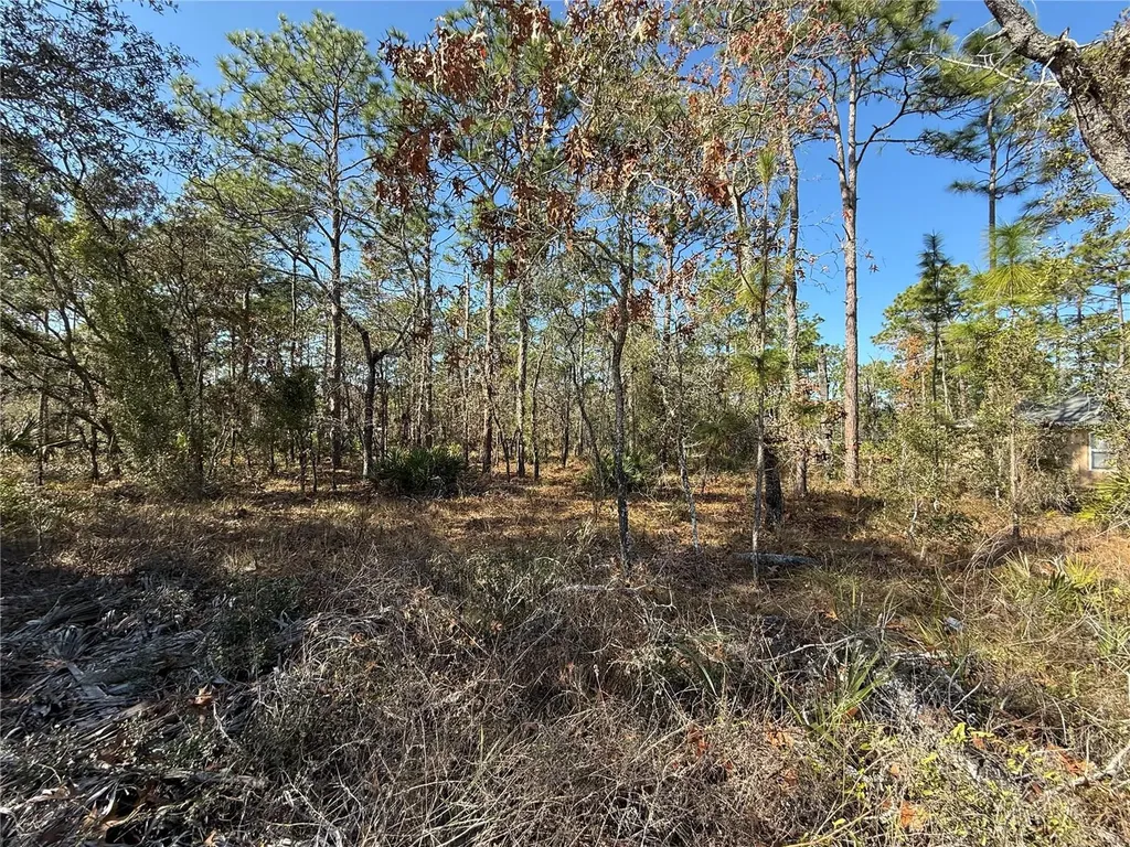 0 Macassar Road Weeki Wachee FL 34614