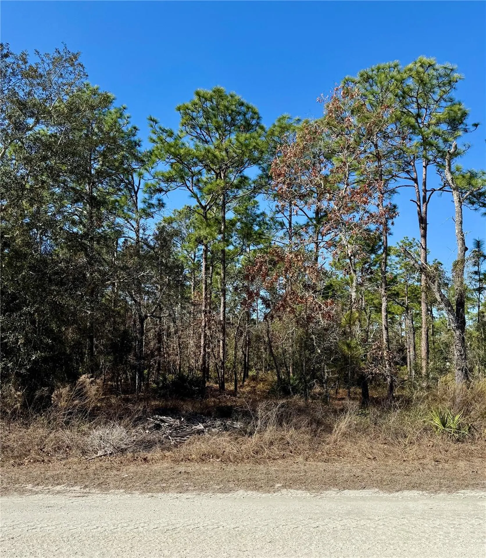 0 Macassar Road Weeki Wachee FL 34614