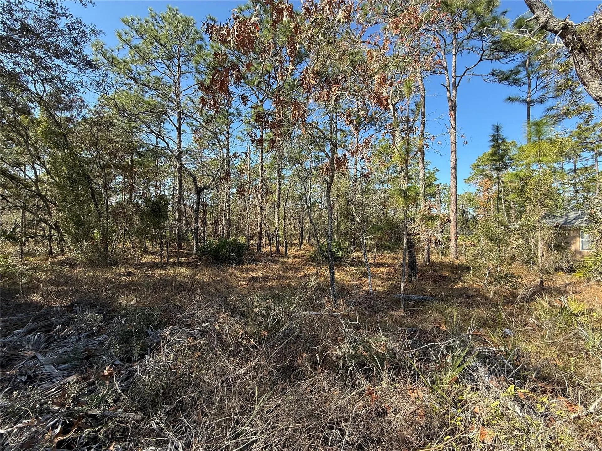 0 Macassar Road Weeki Wachee FL 34614
