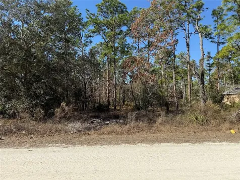 0 Macassar Road Weeki Wachee FL 34614