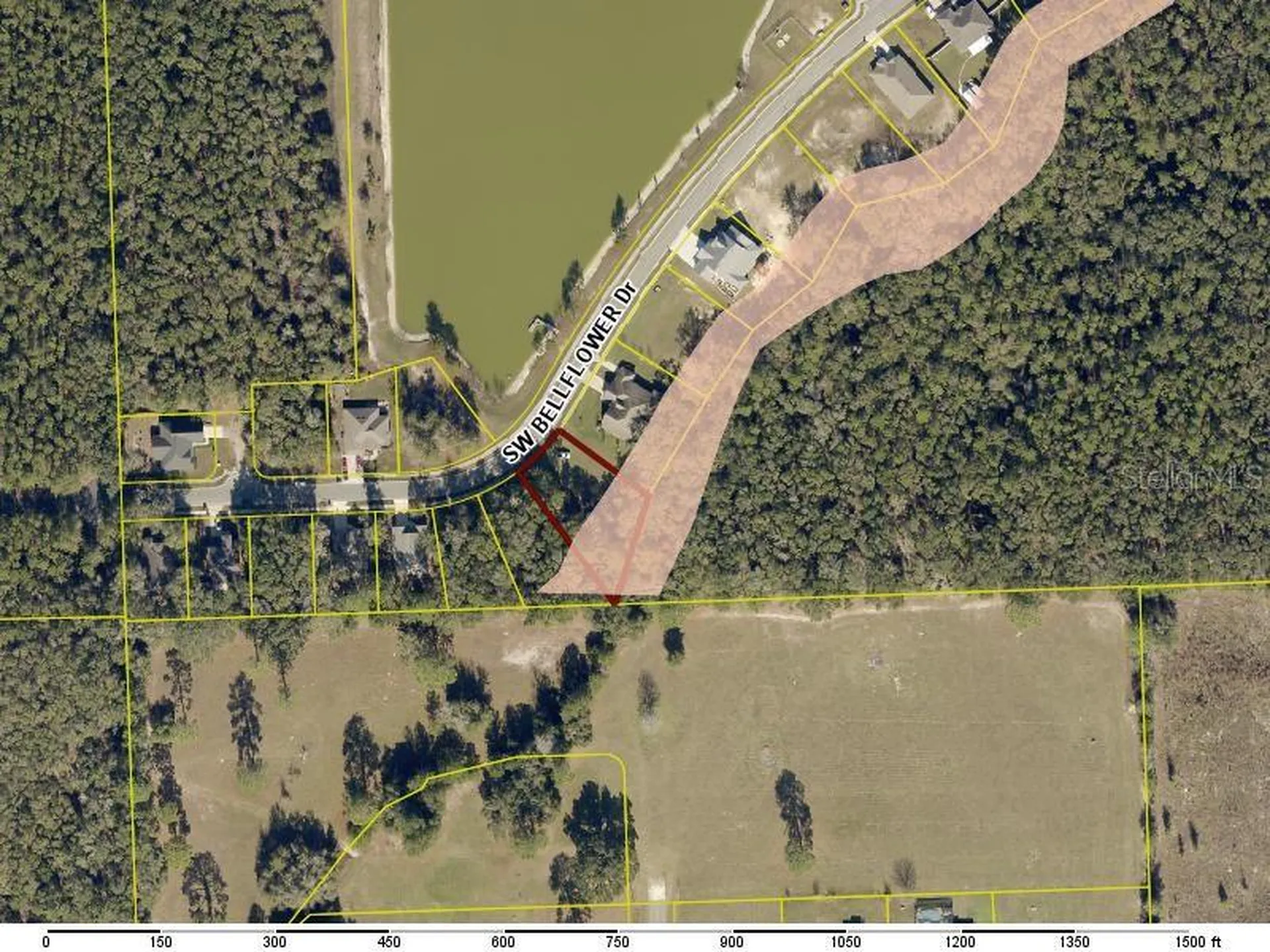 569 SW Bellflower Drive Lake City FL 32024