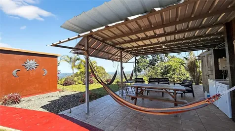 Alturitas Cacao Parcel B Orocovis PR 00720